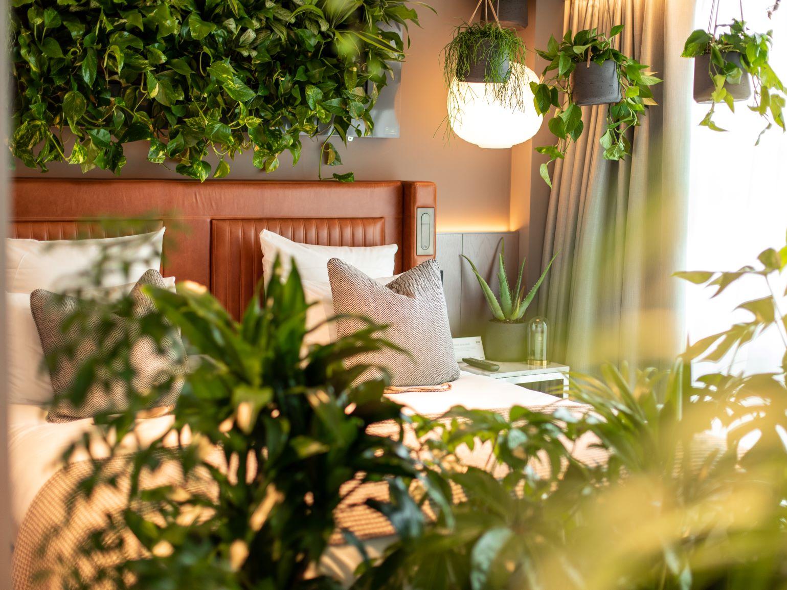 Luxury hotel launches new hotel room incorporating biophilic design